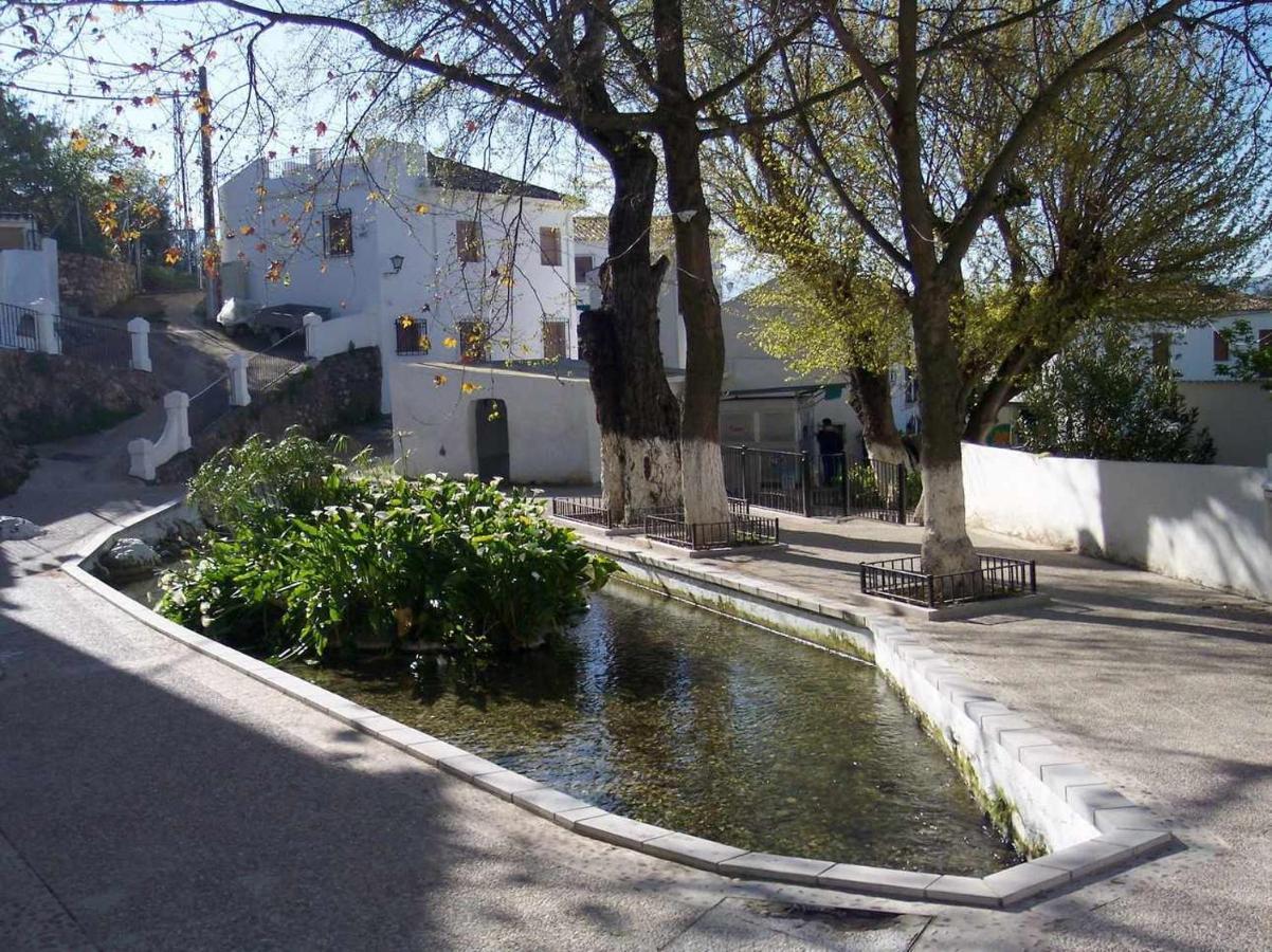 Sierra Alcaide Villa Zagrilla Exterior foto
